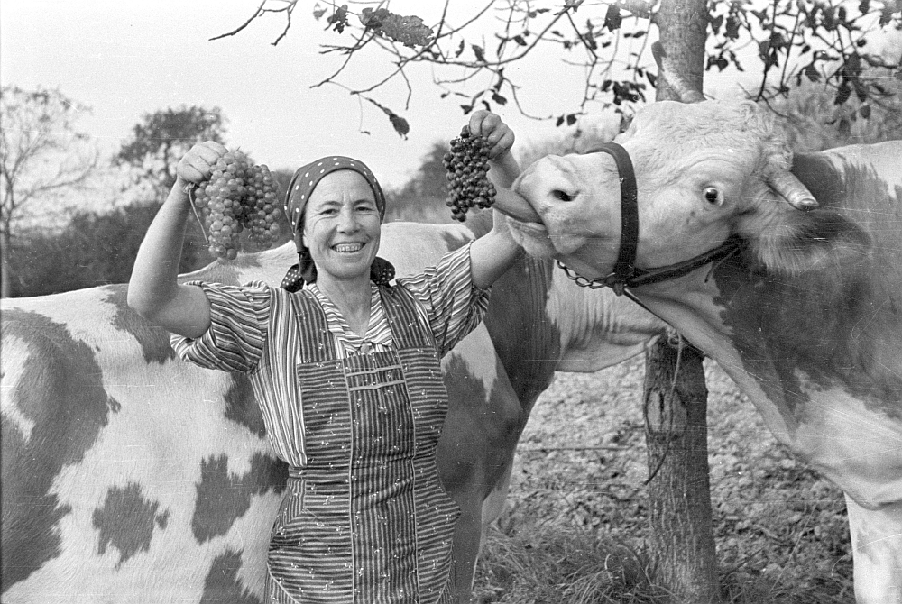 Foto aus Ettenheim