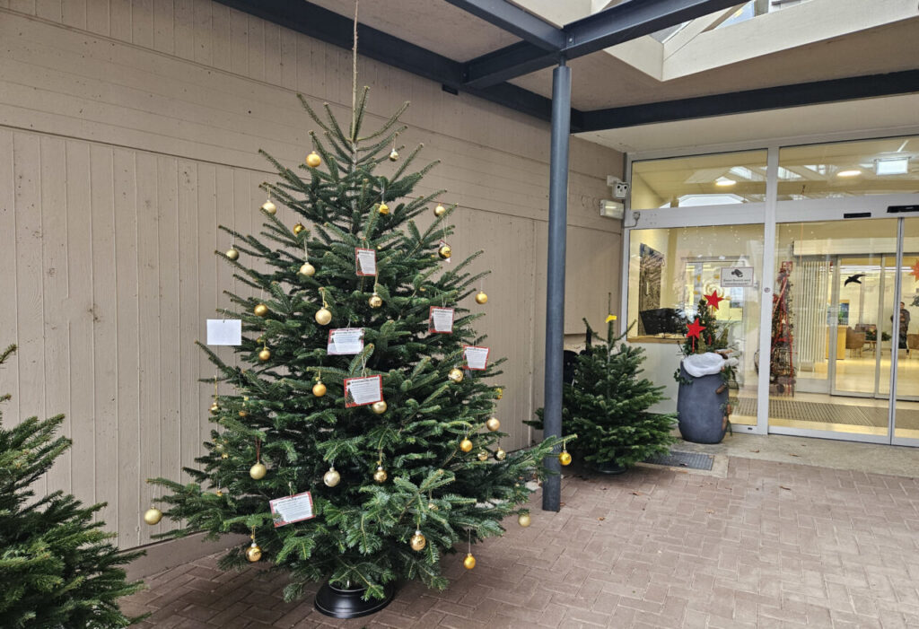 Wunschbaum beim Vincentiushaus