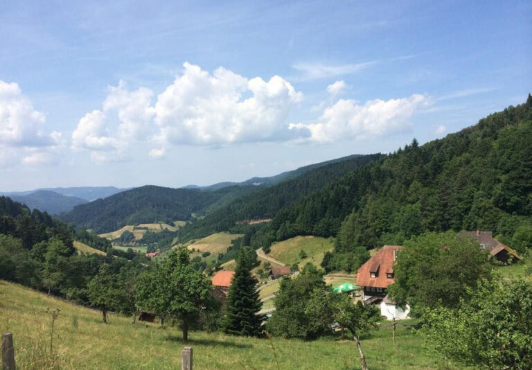 Schwarzwald-Motiv