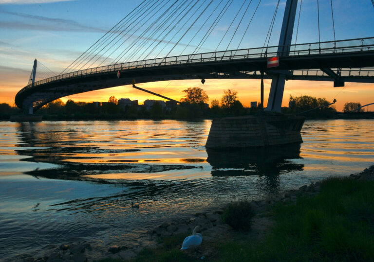 Der Rhein bei Kehl