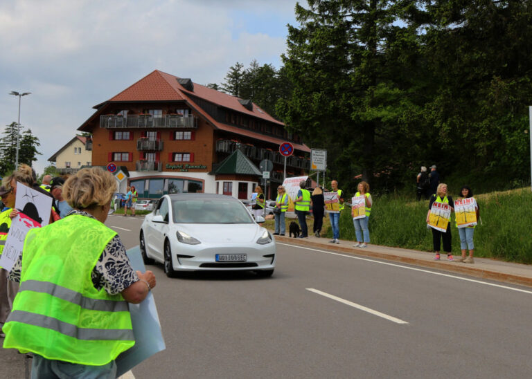 Protest gegen Windenergie