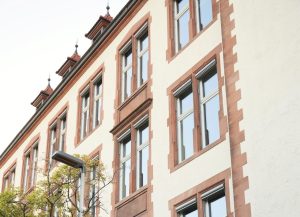 Schule Oberkirch Fledermaus