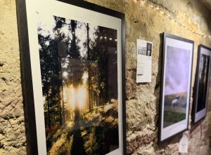 Ausstellung in der Wunderbar