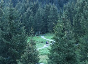 Trekking im Schwarzwald