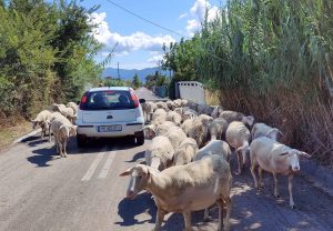 Reisebericht Christian Huber