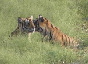 Reisebericht Christian Huber