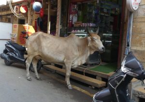 Reisebericht Christian Huber