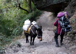 Reisebericht Christian Huber