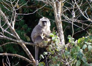 Reisebericht Christian Huber