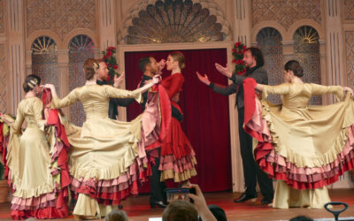 Flamenco-Tänzer