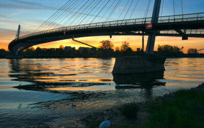 Der Rhein bei Kehl