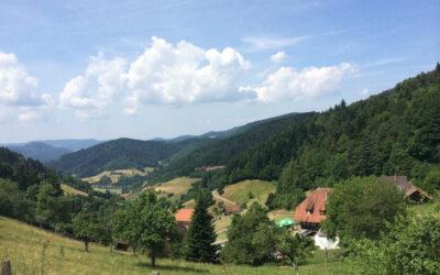 Schwarzwald-Motiv