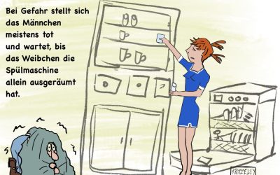 Spülmaschine
